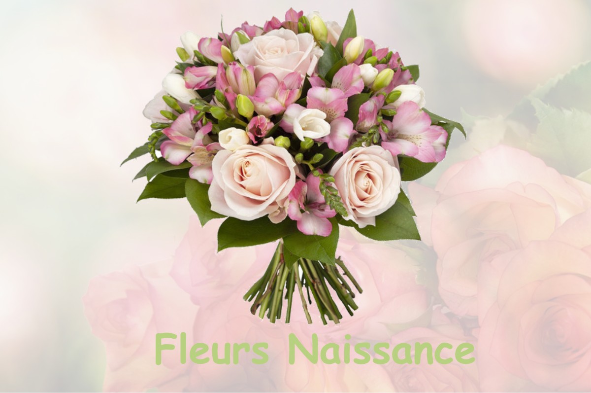 fleurs naissance SIVRY-SUR-MEUSE